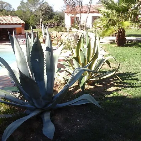 Guest house Mas Des Lys *